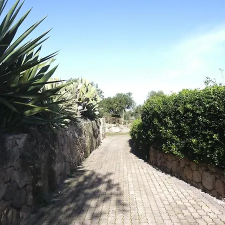 Aria Di Vacanza - Capo Ceraso - Bunte Apartment Murta Maria